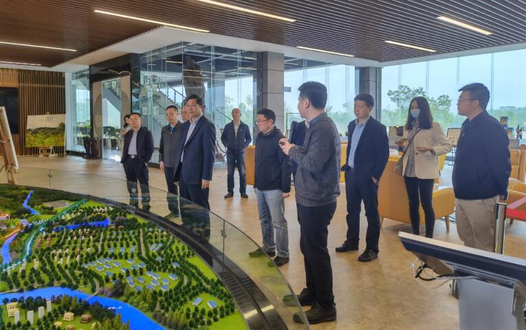 广西旅发集团党委书记、董事长容贤标考察集团文旅项目
