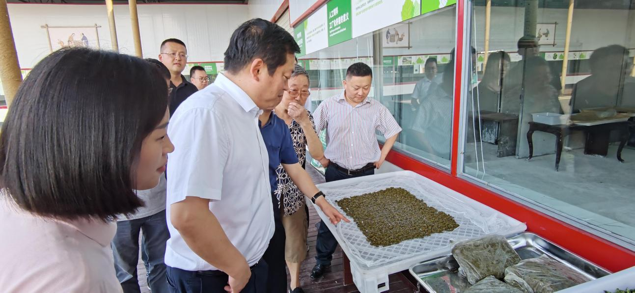 省尊龙凯时集团党委副书记、董事陈日赴嘉陵区调研茶桑产业发展情况