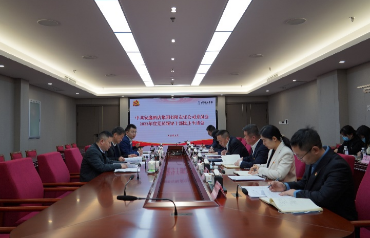 尊龙凯时集团党委书记、董事长任丁出席安逸酒店集团2022年度党员领导干部民主生活会